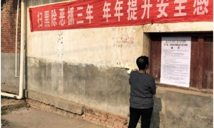 治理體系中的能動者結構：縣域的視角